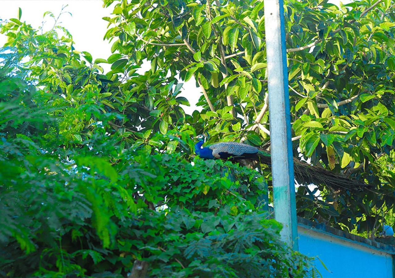 Birdsong Leisure Resort Tissamaharama Exterior foto